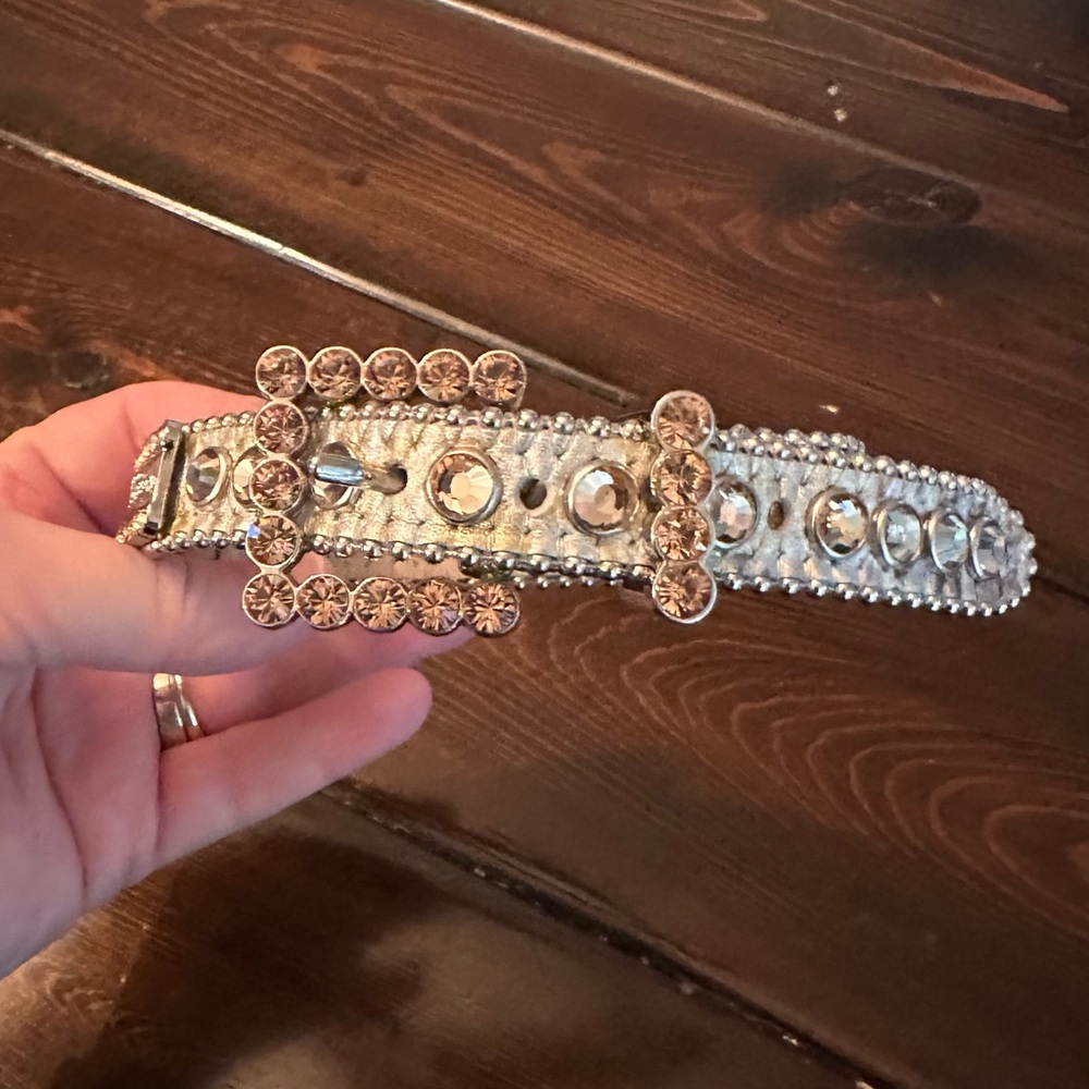 NWOT Bb Simon dog collar